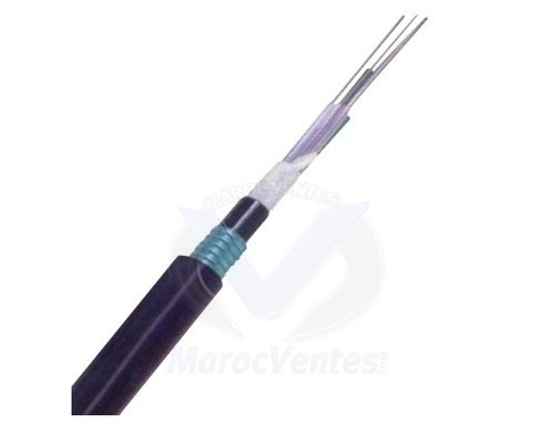 CABLE FO 12 BRINS SM OS2 9/125 ARMEE LINXCOM LXFOCASLTSTA12CSM2PE