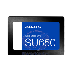 Disque dur SSD SATA 2,5 pouces Interne 512Go ASU650SS-512GT-R